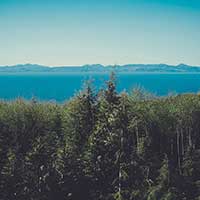 自动发货平台的免费网络轰炸机app