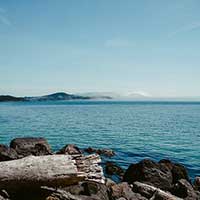 电话轰炸免费在线网站