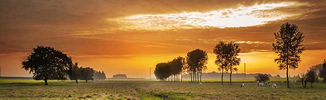 打爆别人手机号的软件